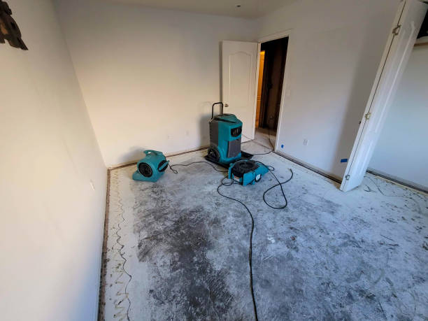 Best Sewage cleanup and water damage restoration  in Madison Heights, VA
