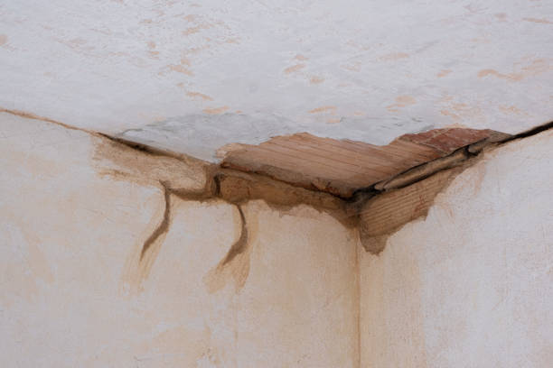 Best Water damage cleanup near me  in Madison Heights, VA