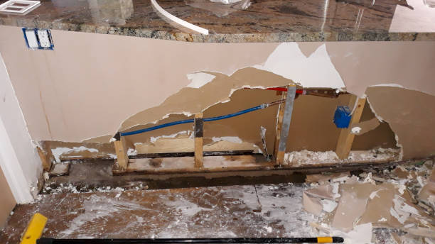 Best Flood damage cleanup  in Madison Heights, VA