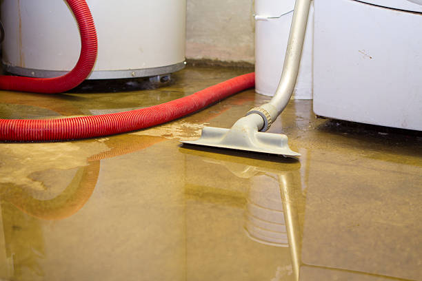 Best Water damage repair service  in Madison Heights, VA