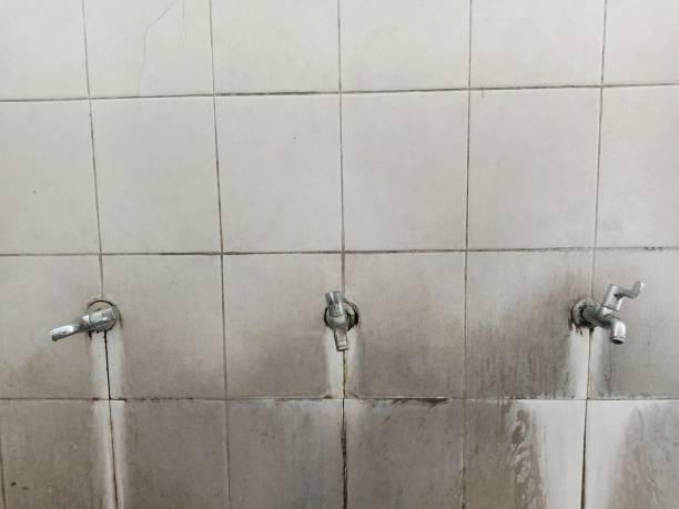 Best Basement water damage restoration  in Madison Heights, VA