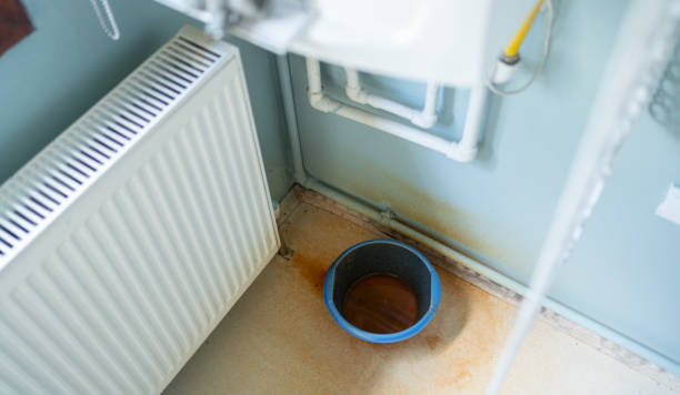 Best Flooded house restoration  in Madison Heights, VA